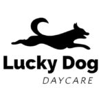LuckyD_WEB